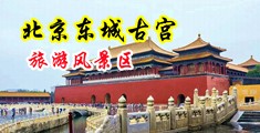 骚逼老逼淫逼浪逼视频中国北京-东城古宫旅游风景区